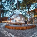 Luxe tent Berenice Glamping *