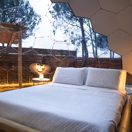 Lüks kamp alanı Berenice Glamping *