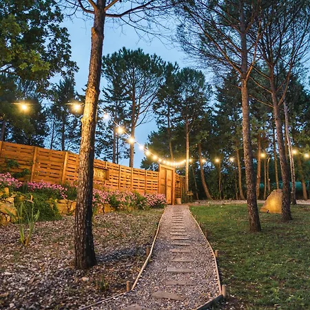 Lüks kamp alanı Berenice Glamping Saletto